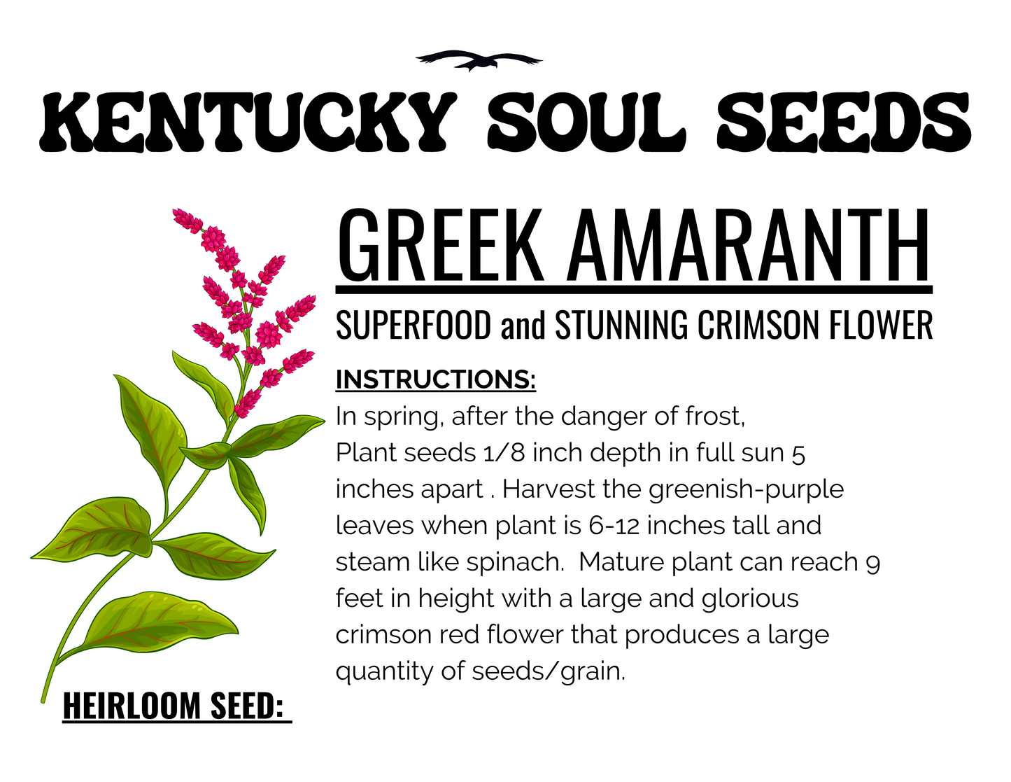 GREEK AMARANTH (VLEETA) SEEDS