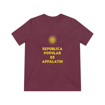 Unisex Triblend Tee
