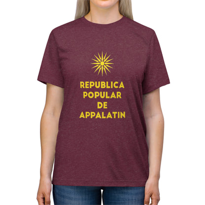Unisex Triblend Tee