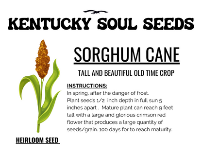 SORGHUM CANE SEEDS
