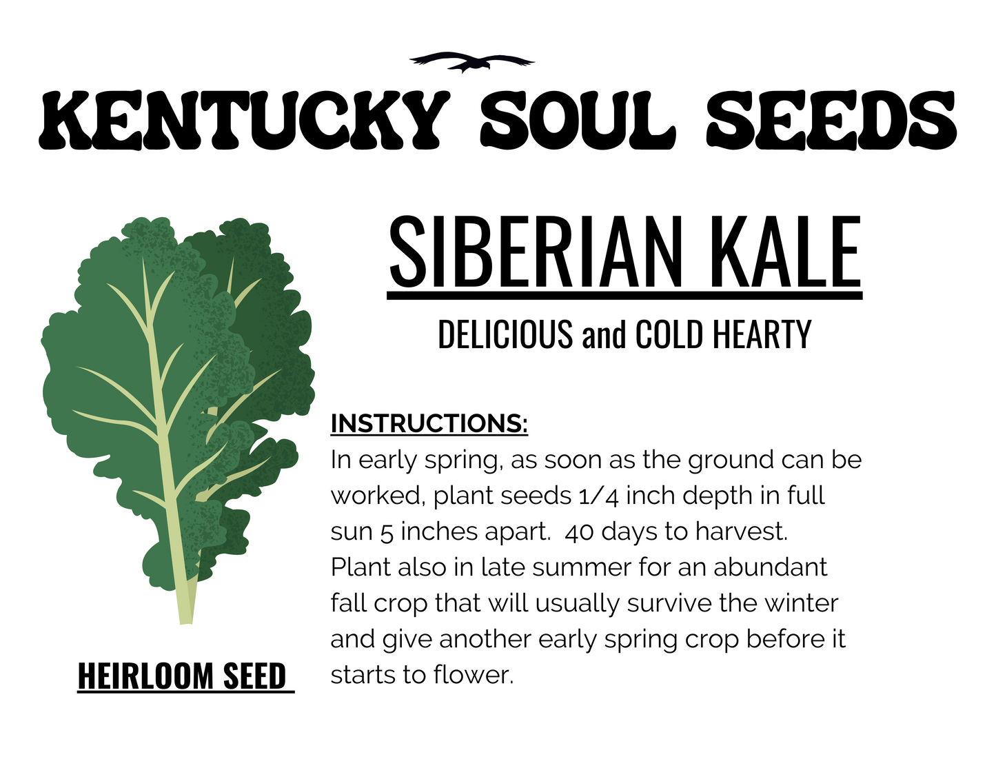 SIBERIAN KALE SEEDS