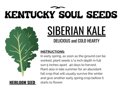 SIBERIAN KALE SEEDS