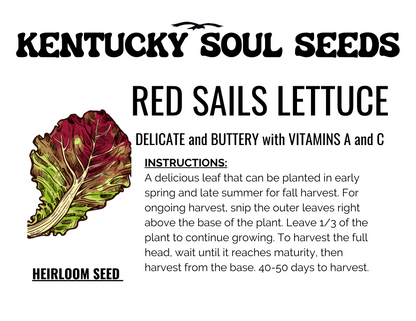 GREENS KIT: LETTUCE, KALE, and GREEK AMARANTH