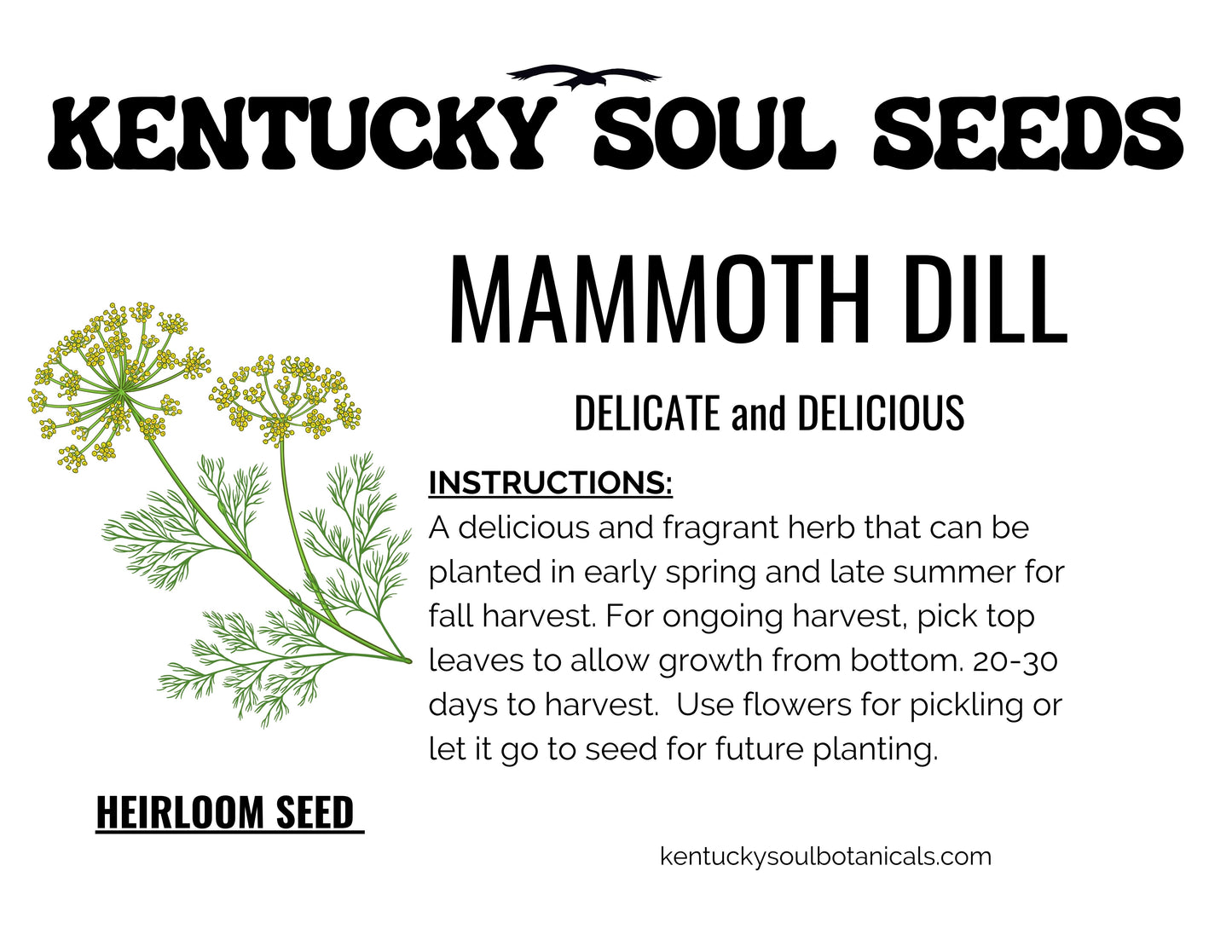GREEK GARDEN BUNDLE: LEAF LETTUCE, 2 types of KALE, and DILL SEED!