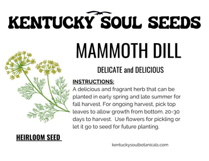 GREEK GARDEN BUNDLE: LEAF LETTUCE, 2 types of KALE, and DILL SEED!