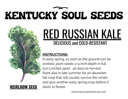 GREEK GARDEN BUNDLE: LEAF LETTUCE, 2 types of KALE, and DILL SEED!