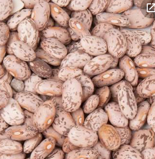 SOUP BEAN (PINTO) SEEDS
