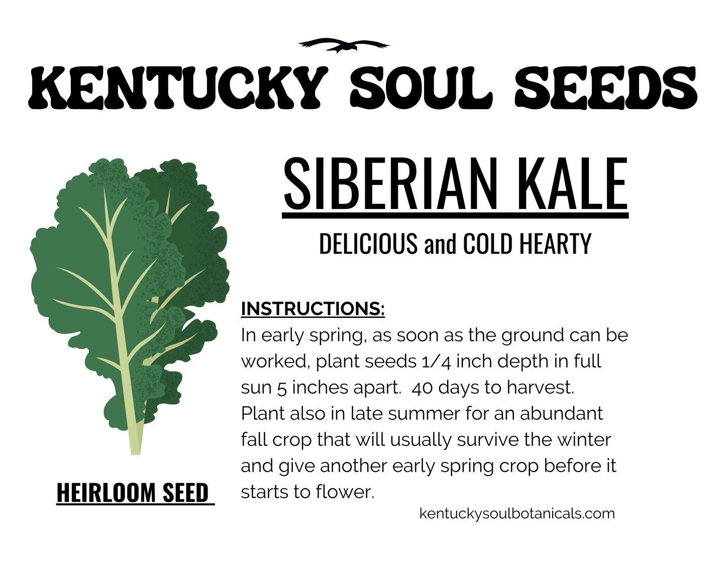 GREEK GARDEN BUNDLE: LEAF LETTUCE, 2 types of KALE, and DILL SEED!