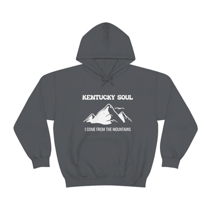 I Come From The Mountains- Unisex Heavy Blend™ Hooded Sweatshirt