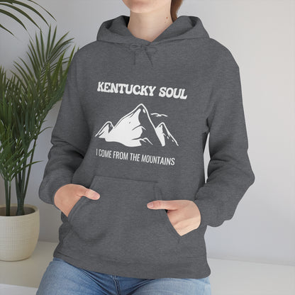 I Come From The Mountains- Unisex Heavy Blend™ Hooded Sweatshirt